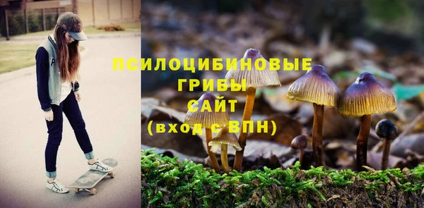 хмурый Балахна